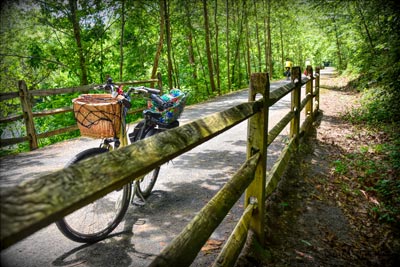Bicycle resting on a bridge among trees