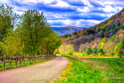 Sunny view of a bike path in nature