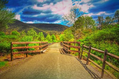 Sunny verdant view of a bide trail and rustic fence