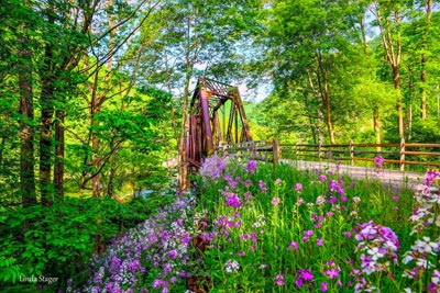 View of a wooden bridge with flowers in the foreground