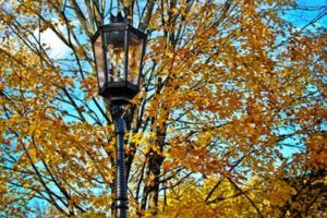 Gaslights and fall colors are two of the things Wellsboro is best known for.