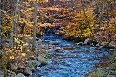 Fall Foliage in Wellsboro