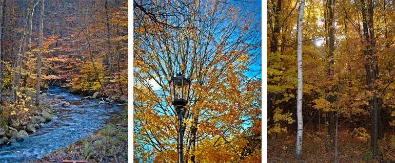 Fall Foliage in Wellsboro