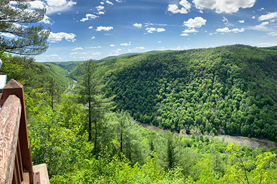Overlook view of a vast forested canyon