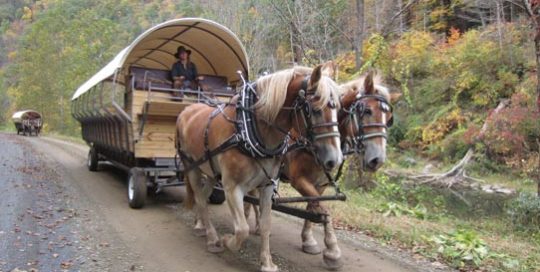 Old Covered Wagon Tours