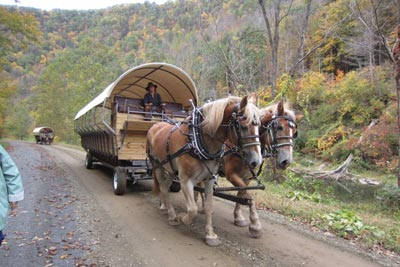 During your stay at the Penn Wells take an excursion on a horse drawn covered wagon.