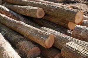Pennsylvania Lumber Heritage Region