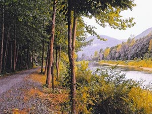 The bike trail below Slate Run Tree-lined biking trail next to water