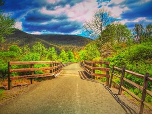 Cycling package at Penn Wells Hotel Rural biking trail