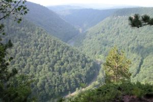 The Pennsylvania Grand Canyon aka Pine Creek Gorge