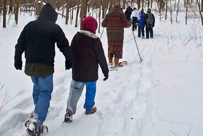 Cross-country skiers in the forest snow.