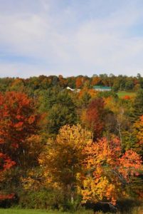 View with colorful autumn trees and sky.