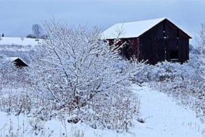 Winter Sports