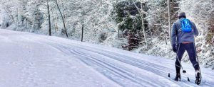 A cross-country skier on a showy trail