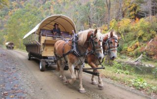 A horse-drawn covered wagon in wilderness