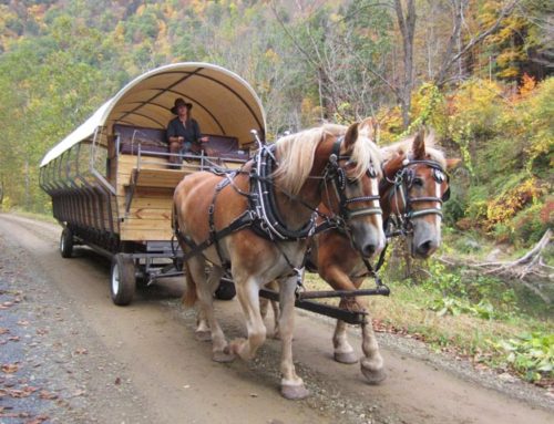 Enjoy the Autumn in the Pennsylvania Grand Canyon