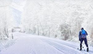 A cross-country skier on a snowy trail